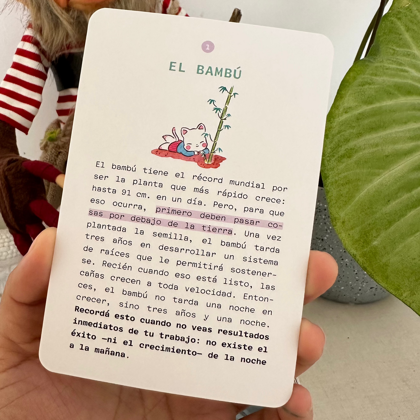 Oráculo Slow